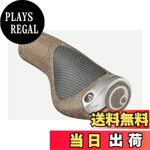 yzGS GP1 oCIRN O/V[g Obv S(HBG21200)