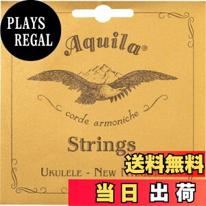 yzCordoba Aquila ANB[ ogENp 85Z`[g AQ-B4 23U