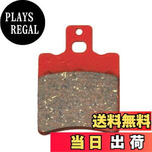 yzfCgi(Daytona) oCNp u[Lpbh ԃpbh(Z~^pbh) X[p[JOG ZR(95-00) 7PSJOG(91) Ȃ 79815 ʂNo:31