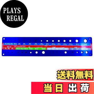 【送料無料】ダイドーハント (DAIDOHANT) (規格判定機器) ねじチェッカー (ボルト・小ネジ用) 青 ブルー (縦) 100 x (横) 470mm (1個入) 92600