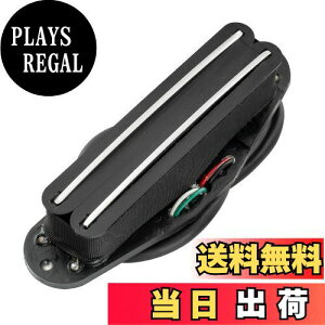 yzMusiclily Basic Hot RailsVOTCYnobJ[ sbNAbv STXggGLM^[pAubN