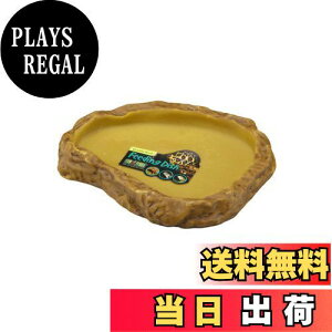 yzEXO TERRA (GL]e) tB[fBOfBbVS PT2811 ঒ޗp M R̊C[W ЂԂɂ W14.5×D10×H2.3cm