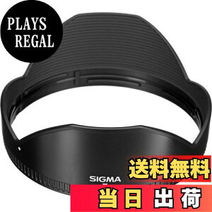 yzVO}(Sigma) SIGMA Yt[h LH873-01