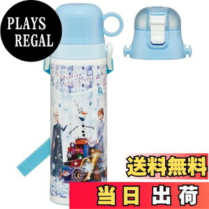 yzXP[^[(Skater) qp 2way XeX   580ml Rbv 570ml fBYj[ AiƐ̏ 24 qɗDyʃ^Cv j̎q  SKDC6-A