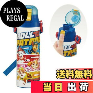 yzXP[^[(Skater) qp XeX   580ml pEEpg[ 24 qɗDyʃ^Cv ۗp waterbottle X|[c{g 킢LbY q ǂ r SDC6N-A