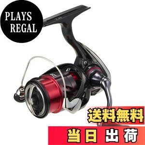 yz_C(DAIWA) XsjO[ 24lX LT1000S-P