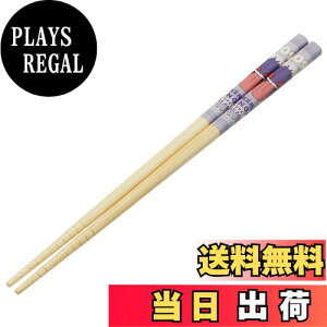 yzXP[^[(Skater) |S  | 21cm |PbgX^[ QK[  ANT4-A