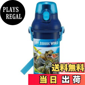 yzXP[^[(Skater) qp vX`bN  480ml vbVJ R qɗD y RۉH { WVbN 24 j̎q PSB5SANAG