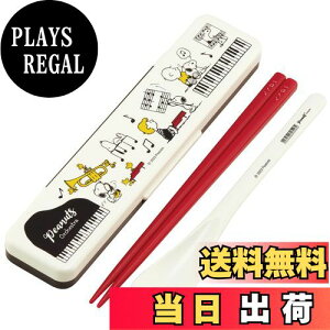 yzXP[^[(Skater)  Xv[ RrZbg 18cm RۉH ٓ lp VRNbVtŉȂȂ { Xk[s[ I[PXg CCS3SAAG-A