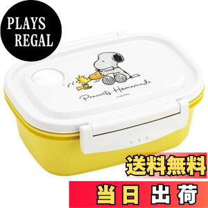 yzXP[^[(Skater) Ny y ٓ M 550ml WΉ V[e ۑe Xk[s[  { XPM4-A