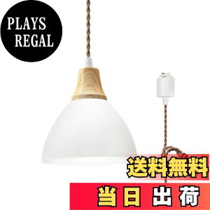 【送料無料】DiCUNO ペンダントライト ダクトレール用 LED一体型 60W相当 昼白色 1灯 天井照明 吊り下げ コード長さ 80CM 長さ調整可能 北欧 半円形シェード シンプル おしゃれ ホワイト 1個入