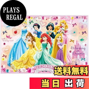 yzXP[^[(Skater) qp W[V[g  STCY 60×90cmTCY fBYj[ vZX 24 VS1-A