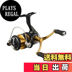 �y���������z�_�C��(DAIWA) �X�s�j���O���[�� 23���K���X LT2500S-DH