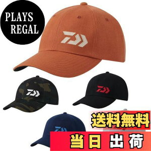 yz_C(DAIWA) Lbv DC-8123W Y O[J ނ tBbVO