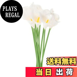 yzTOYMYTOY 10 uC_ EFfBO u[P  t[ I_JCE  A ^b` fR[V z[ uChCh u[P z[ fR[V lH u[