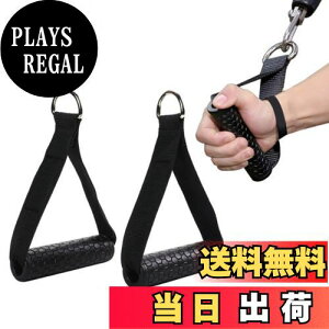 yzDIZLAS P[uA^b`g GNTTCYnh ؃gP[u tBbglX  2{Zbg