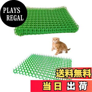 yzONESORA L悯V[g L悯Ƃ}bg y415×340mm 10z ǔL Nh~ tQh~ LNh~