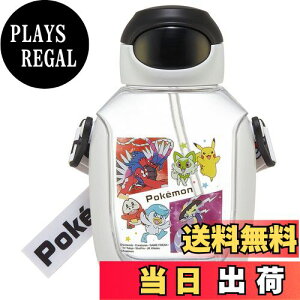 yzXP[^[(Skater)  Xg[t 530ml |PbgX^[ 23N Xg[ vbV qp PDSH6DX-A