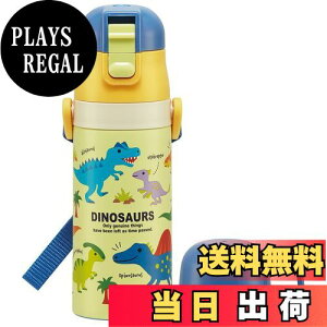 yzXP[^[(skater) qp XeX  2way  420ml Rbv 350ml fBmUEX sN`[ qɗDyʃ^Cv j̎q ۉEۗ⋰ eʃ^Cv waterbottle X