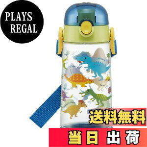 yzXP[^[(Skater)  500ml fBmTEX sN`[ vbV vX`bN qp j̎q PDDR5