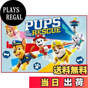 yzXP[^[ (skater) W[V[g STCY 60×90cm pEEpg[ 23 VS1-A