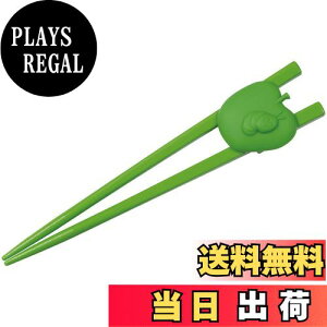 【送料無料】スケーター(Skater) トレーニング箸 16.5cm ホルダー付き 子供用 はらぺこあおむし 日本製 ATC1N-A