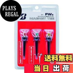 yzBRIDGESTONE(uaXg) St }OlbgeB[ FW GAGMGTF 2023Nf