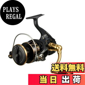 yz_C(DAIWA) XsjO[ 23BG SW 8000-H