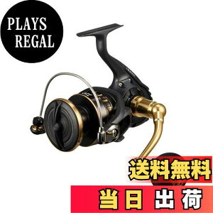 yz_C(DAIWA) XsjO[ 23BG SW 8000-P