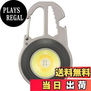 【送料無料】オーム(OHM) 電機 LED懐中電灯 フラッシュライト USB充電 ハンディライト コンパクトツールライト 丸形 910ルーメン 栓抜き/ドライバー4種/レンチ/カラビナつき アウトドア キャン