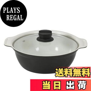 yzxXgR   IH 24cm KXWt Cbh Z~bN NQ-0053 rXg J[