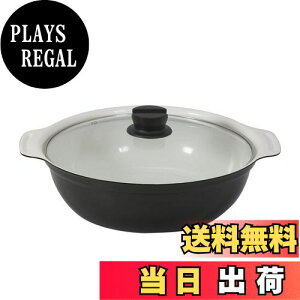 yzxXgR   IH 28cm KXWt Cbh Z~bN NQ-0055 rXg J[