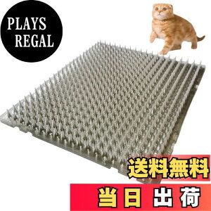 yzONESORA L悯V[g L悯Ƃ}bg  y16z Op LN tQh~