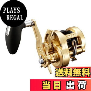 yzV}m(SHIMANO) DAItVA 22 IVARNGXg 300HG