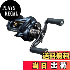 yz_C(DAIWA) oX xCg[ STEEZ(XeB[Y) AII TW 1000XHL 2022Nf
