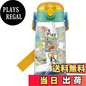 yzXP[^[(Skater)  480ml fBYj[ gCEXg[[ 23 NA{g Xg[t qp PDSH5-A