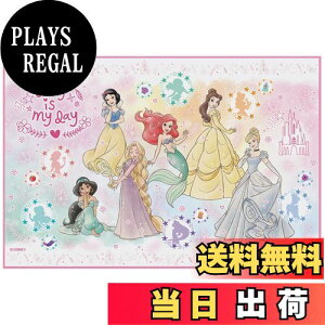 【送料無料】スケーター(Skater) 子供用 レジャーシート 遠足 Sサイズ 60×90cmサイズ ディズニー プリンセス 23 VS1-A