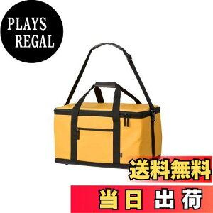 yz_C(DAIWA) \tgN[[ ނ/AEghA/Lv \tgN[ 4500 Ao[