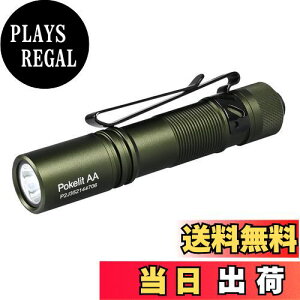 yzACEBEAM Pokelit AA d ^ y  550[PO 3iK F Ra90 IP68h ő9̎s 肵ptH[}X イłƂ ledCg tbV