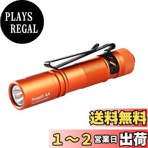 yzACEBEAM Pokelit AA d ^ y  550[PO 3iK F Ra90 IP68h ő9̎s 肵ptH[}X イłƂ ledCg tbV