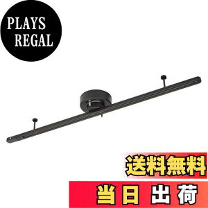 【送料無料】ライティングダクトレール 引掛けシーリング直接設置式 1m ブラック ORL-C100AK 06-5016 オーム電機