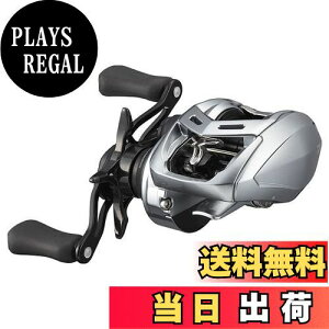 yz_C(DAIWA) oXxCg[ At@X SV TW800S-H