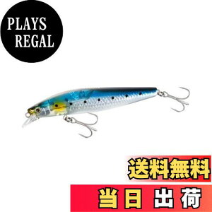 yzV}m(SHIMANO) A[ \gvO EXS TCgATV 99F tbVu[Xg 001 N}CV 99mm/14g XM-199V