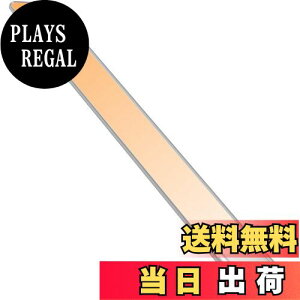 yzlZT[Cg  LED o[ Cg [d LrlbgCg 2200mAh 40cm dF ^݌v 茳 }Olbg LEDCg  zHsv ȃGl  x P