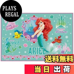 yzXP[^[ (skater) W[V[g STCY 60×90cm fBYj[ AG 22 VS1-A