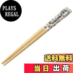 yzXP[^[(Skater)  | 16.5cm I'mh TI { ANT2-A