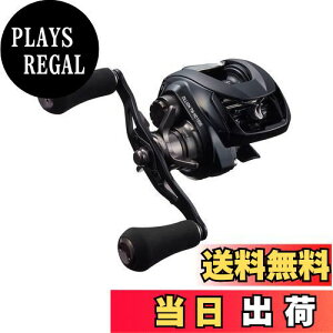 �y���������z�_�C��(DAIWA) �x�C�g�L���X�e�B���O���[�� 22 �W���I�� TW HD 1000XH