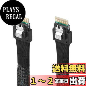 yzTwozoh SAS SFF-8654 to SFF-8654P[u SAS SFF-8654P[u 38sT[o[HDDf[^]P[u T[o[/f[^Xg[W/[NXe[Vp 1M Kis