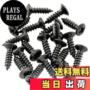 yzMusiclily Basic 2.5x10mm  ~KisbNK[h WbN rX Xbh gXbhJo[ lW GstHX|[X^CM^[pAubNi20Zbgj