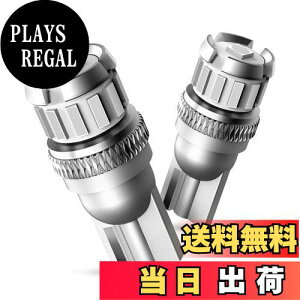 yzOXILAM T10 LED u[ Px  CANBUSLZ[ |WVv io[ [v [^[v ɐ DC12V EGbW ԗp 2